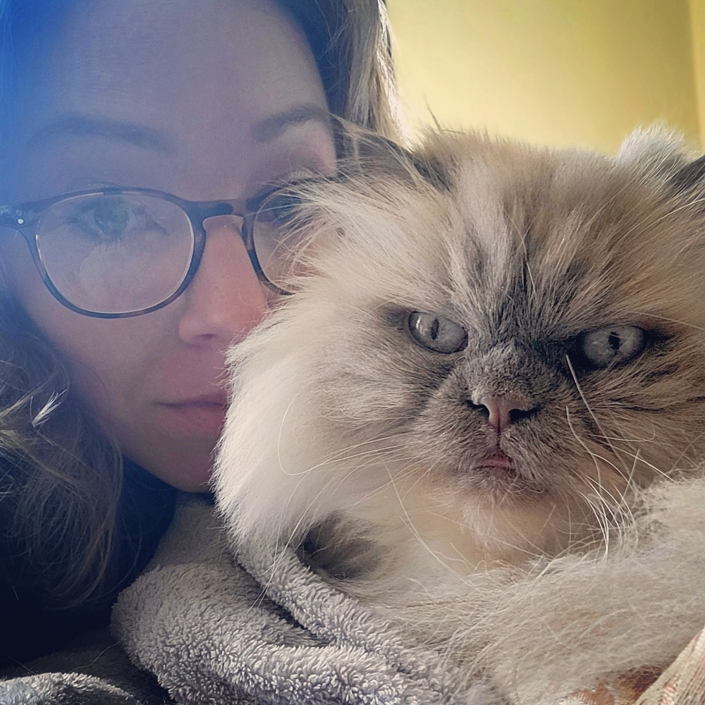 Meet your cat friendly vintage posher